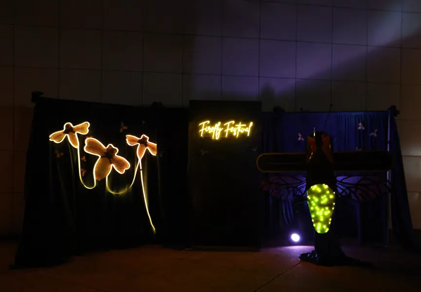 Dark outdoor display with glowing firefly lights and illuminated artwork.